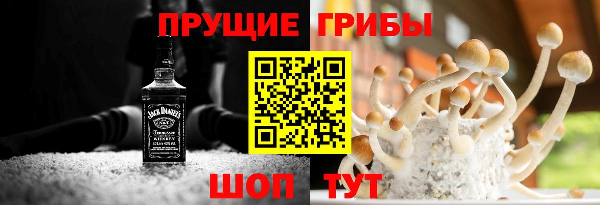 Псилоцибиновые грибы Cubensis Мичуринск